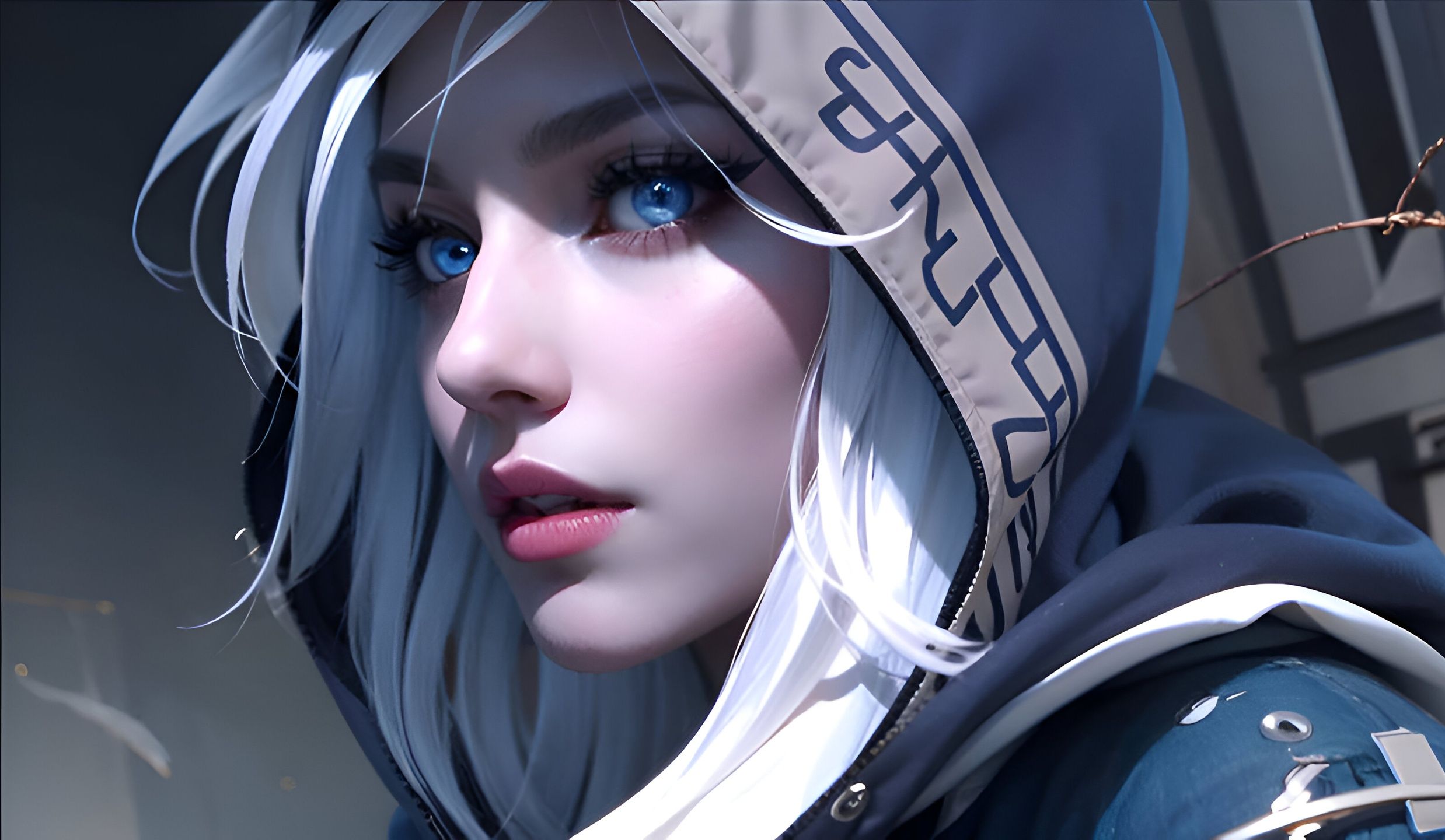 传出与其他 传出与其他