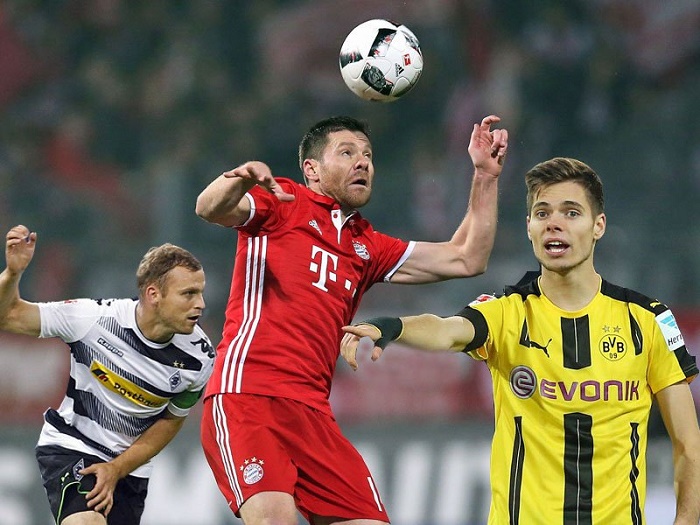 疑是本年度 疑是本年度