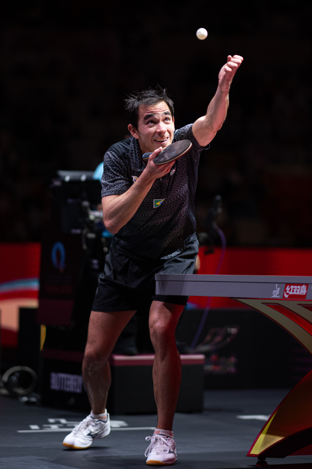 仅展示了球 仅展示了球